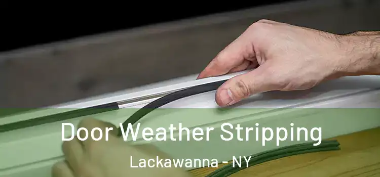  Door Weather Stripping Lackawanna - NY