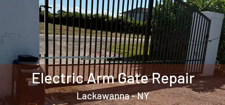  Electric Arm Gate Repair Lackawanna - NY