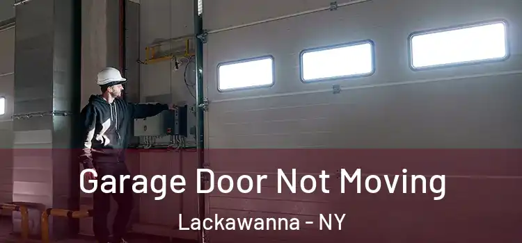  Garage Door Not Moving Lackawanna - NY
