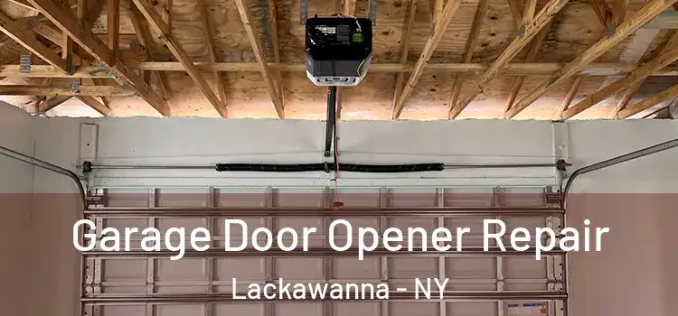  Garage Door Opener Repair Lackawanna - NY