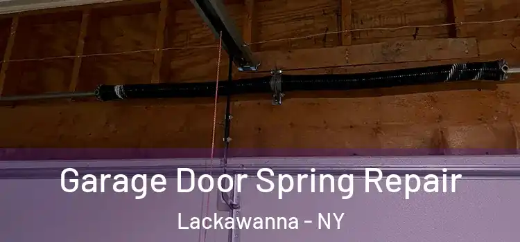  Garage Door Spring Repair Lackawanna - NY