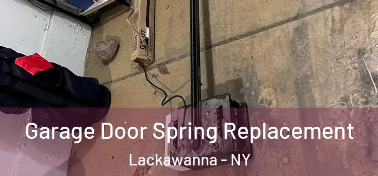  Garage Door Spring Replacement Lackawanna - NY