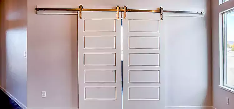 Glass Barn Door with Installation Hardware Kit Lackawanna