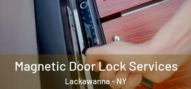 Magnetic Door Lock Services Lackawanna - NY