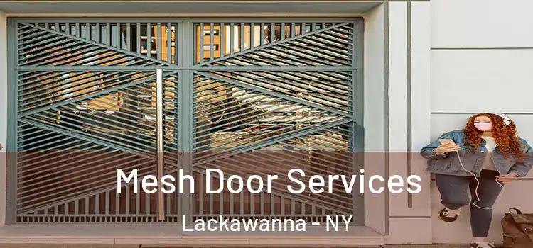  Mesh Door Services Lackawanna - NY