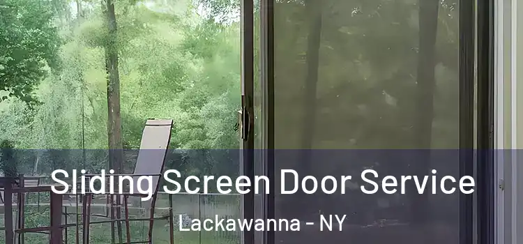 Sliding Screen Door Service Lackawanna - NY